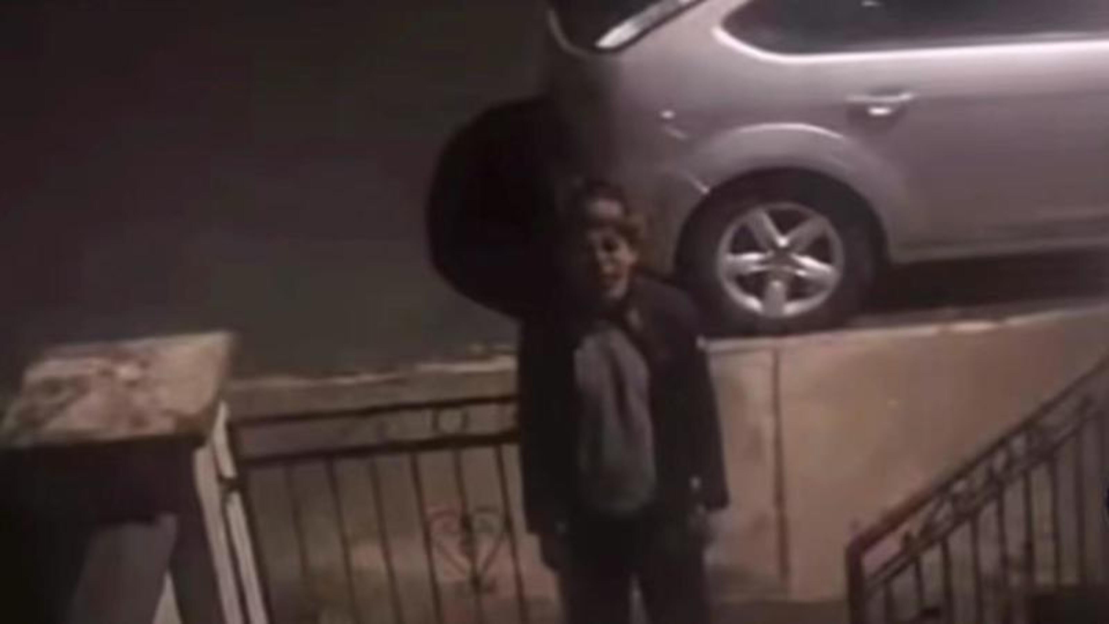 Two boys arrested and school closed as ‘Cat in the Hat’ stalker hits US after Garda warning