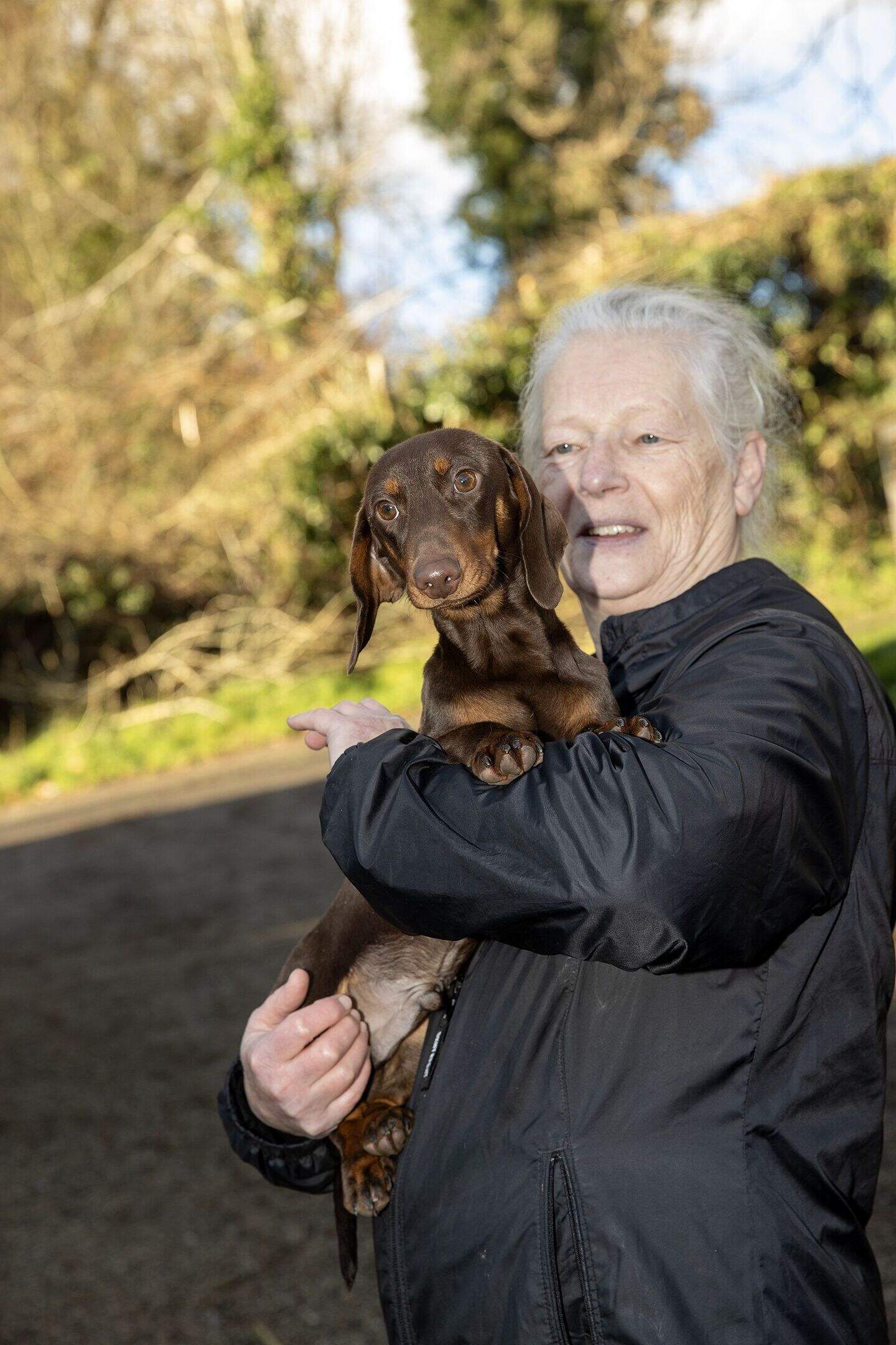 Ash Animal Sanctuary: 40 rescued dogs at Wicklow sanctuary seeking ...