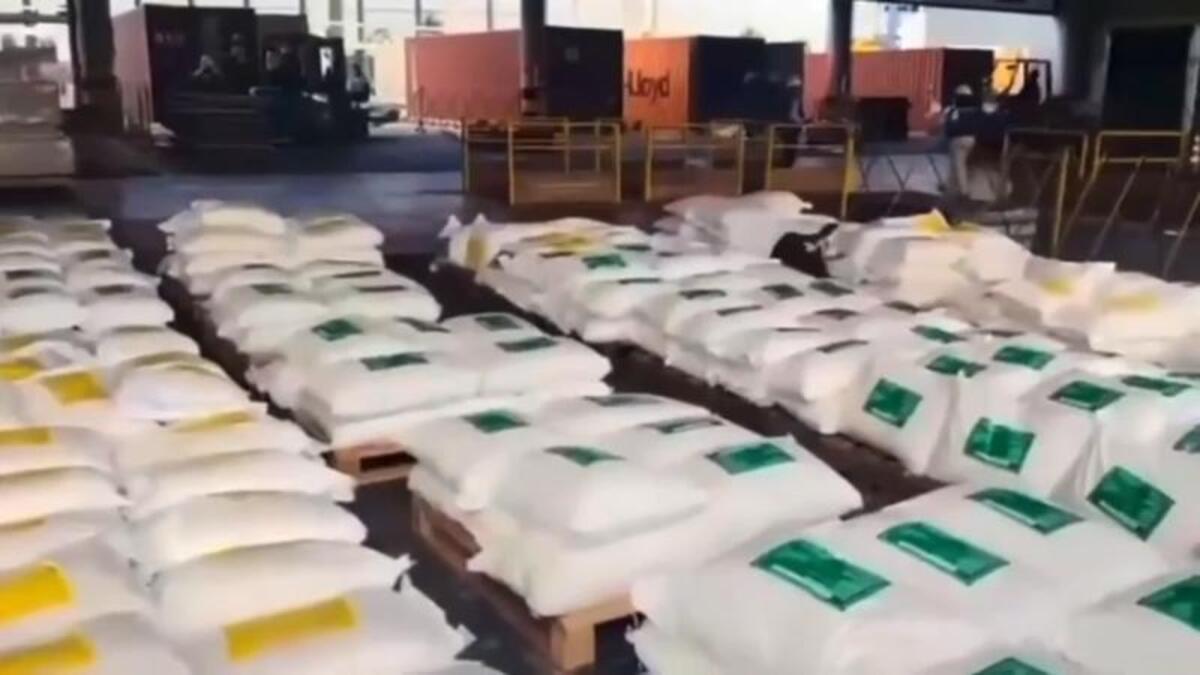 Colombian drug police seize 7.6 tonnes of cocaine in the country's biggest bust in a decade