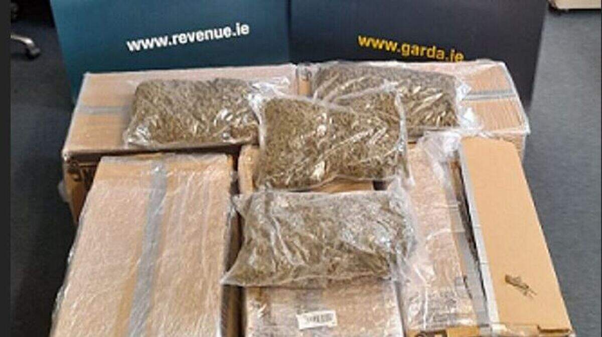Man (49) arrested as cannabis worth €700k seized from crime gang in ...