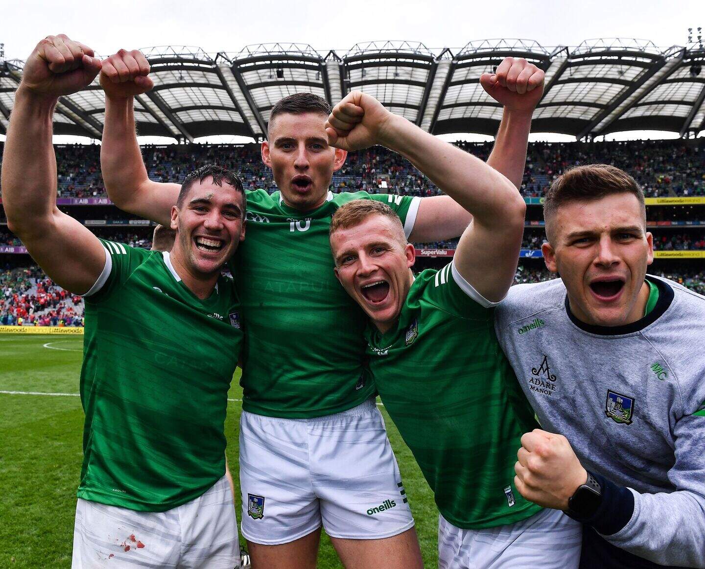 Limerick hurlers have become true GIANTS of the modern game | Crime World