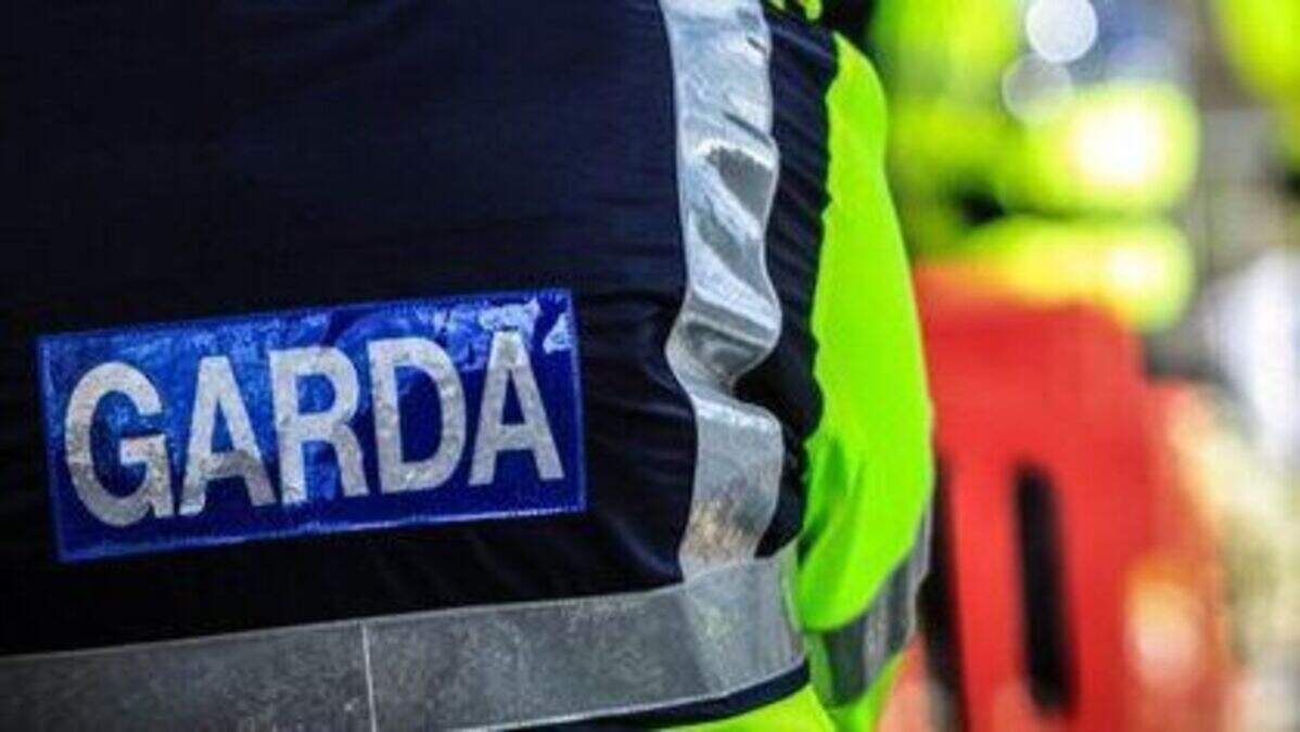Man arrested after drugs worth €20,000 seized in Cork city | Crime World