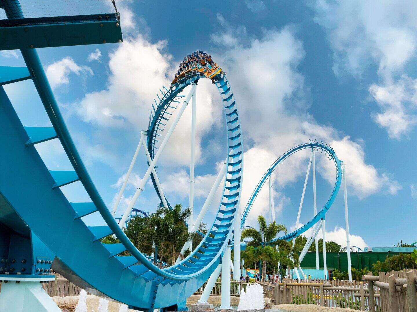 Seaworld gets you up-close with your favourite animals — and some wild ...