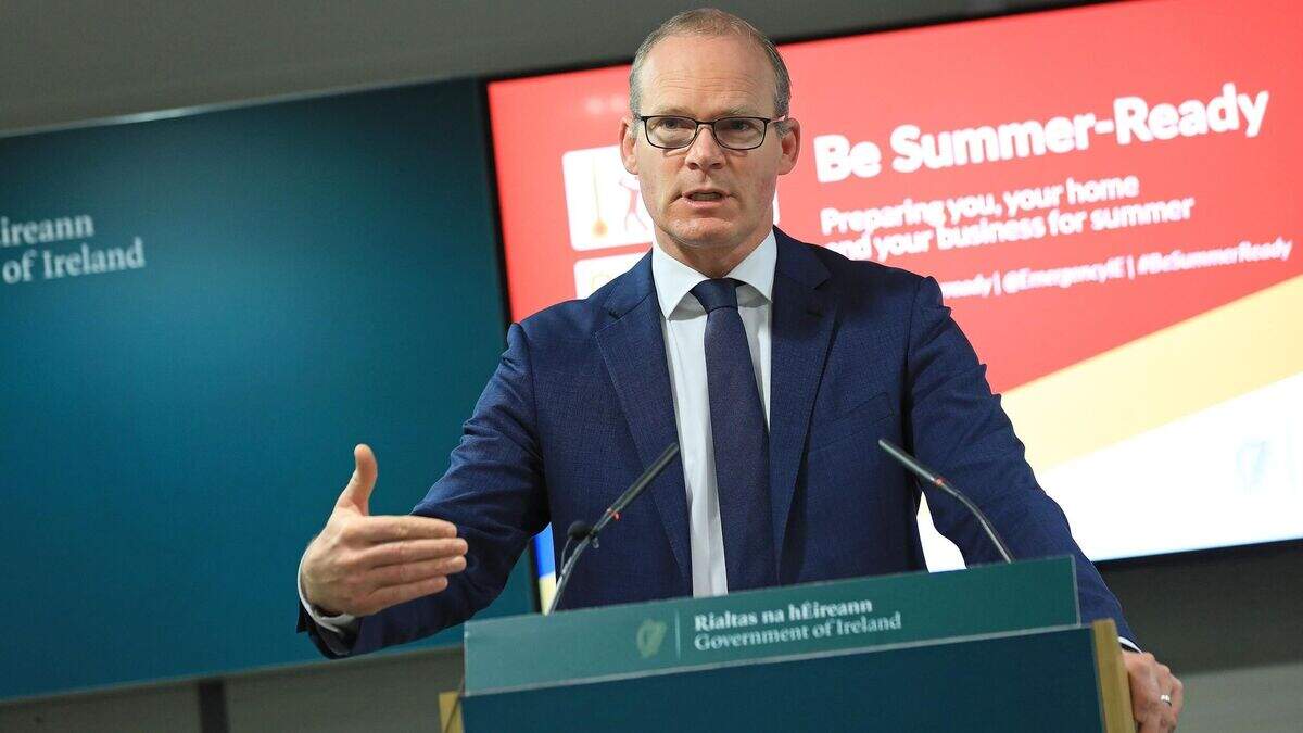Anger at video of GAA fans after Simon Coveney defends 40,000 crowd at ...
