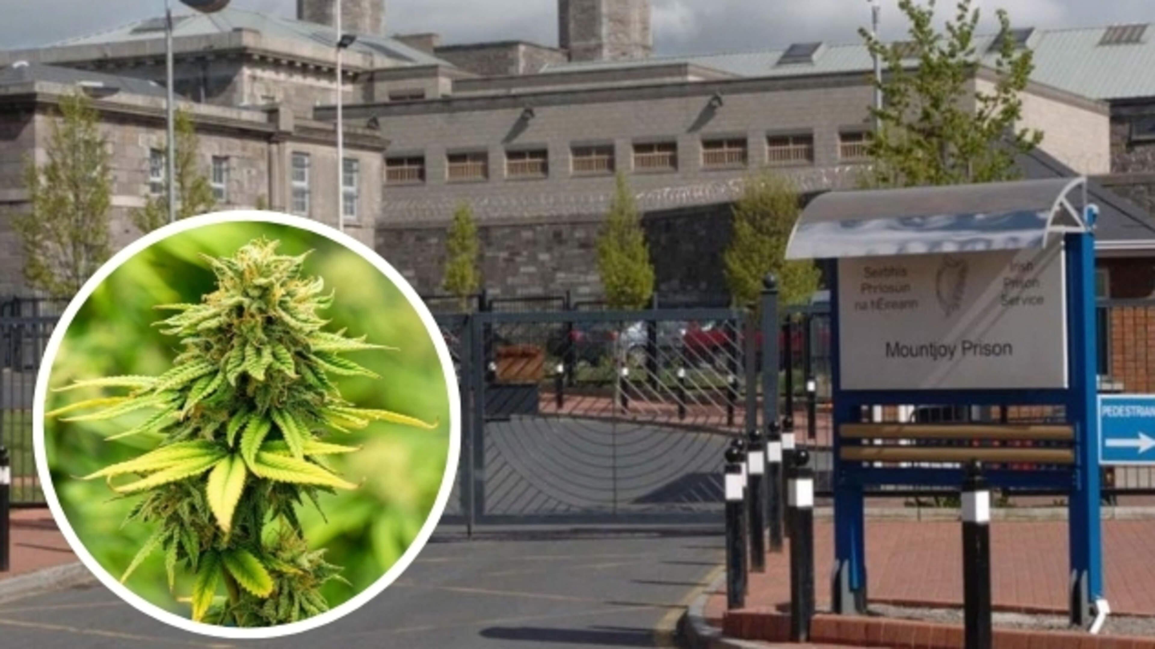 Woman facing Mountjoy cannabis charge ordered to stay 1km away from all Irish jails