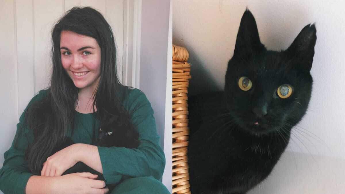 Cat returned home after going missing for eight years | Crime World