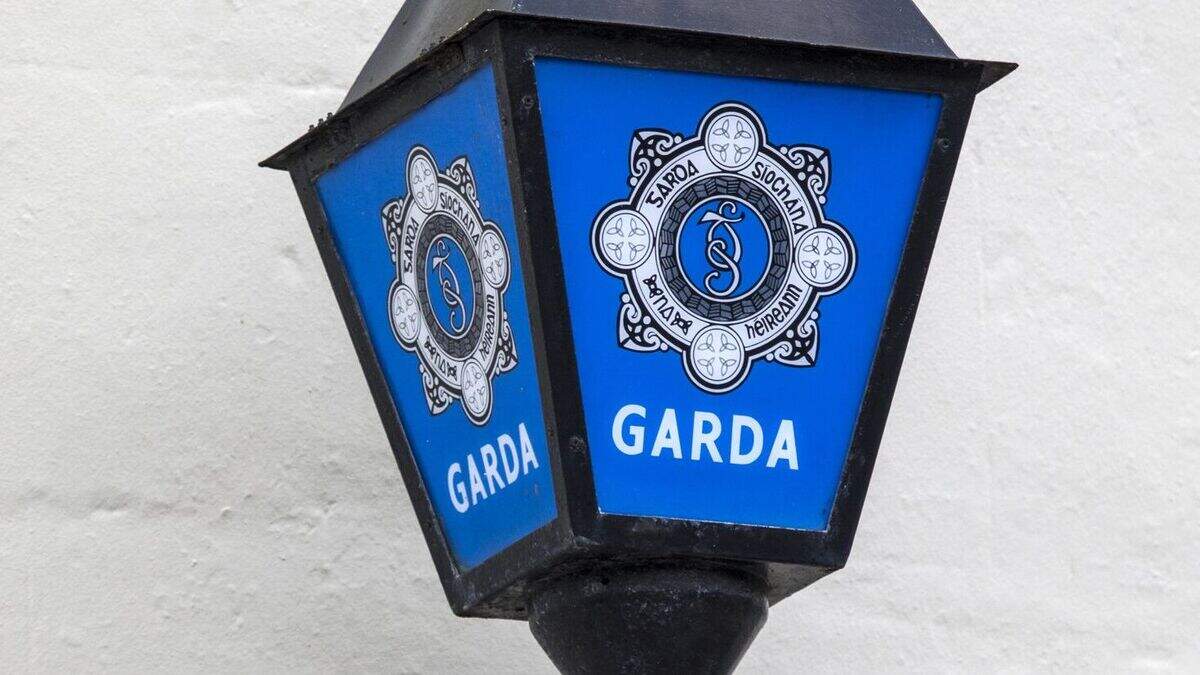 Four arrested and €1m worth of cannabis seized in Kildare | Crime World