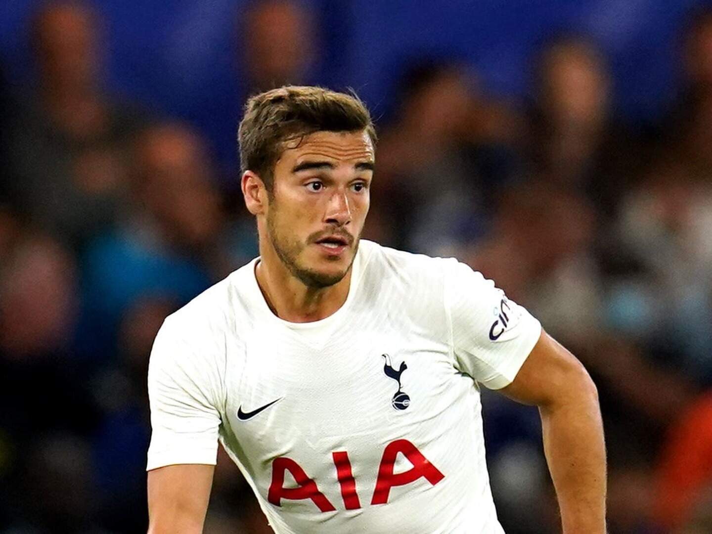 Harry Winks impresses Antonio Conte with commitment and desire | Crime ...