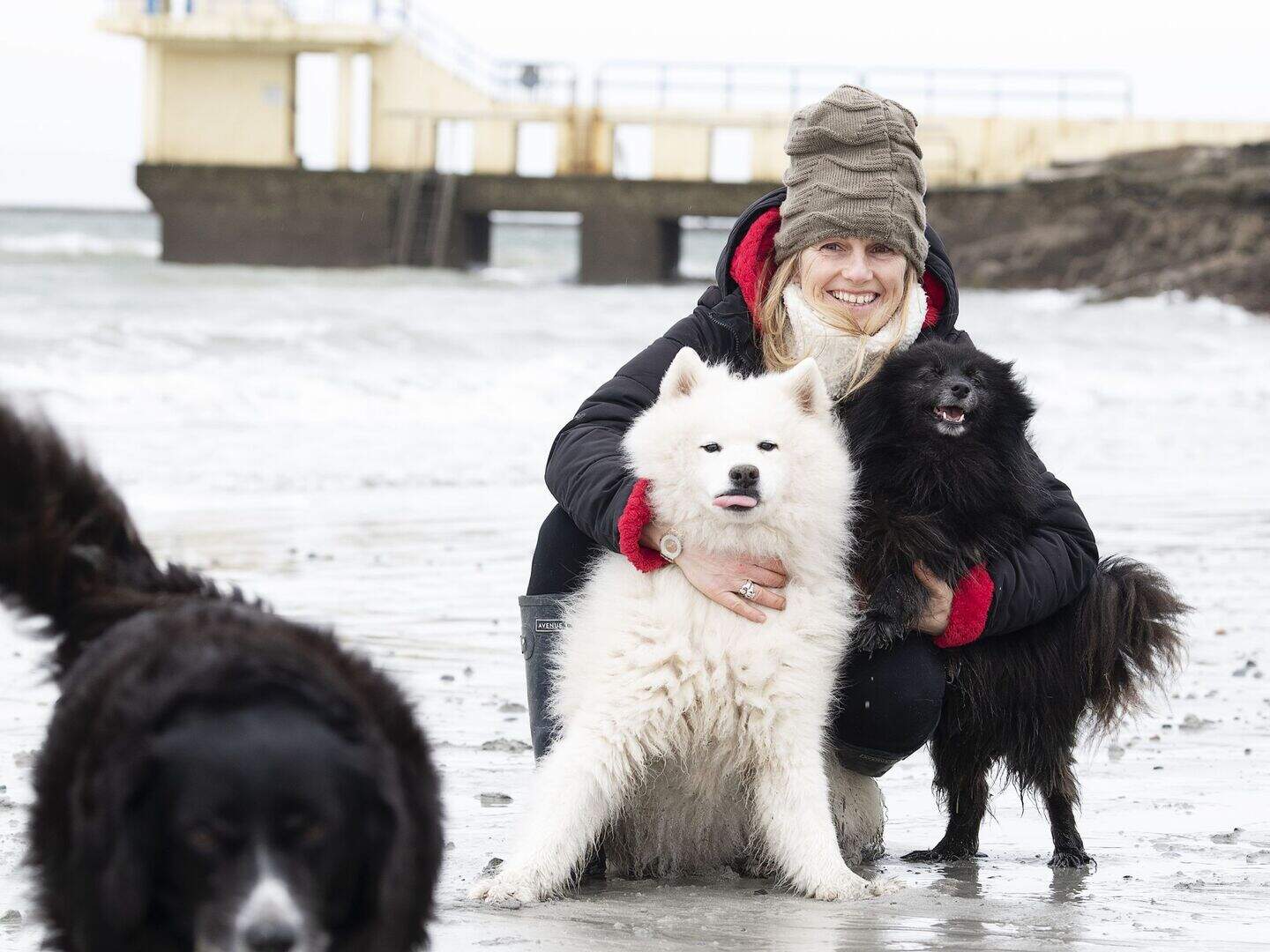 Sharon Shannon reveals she opened her home to 14 cats and eight dogs ...