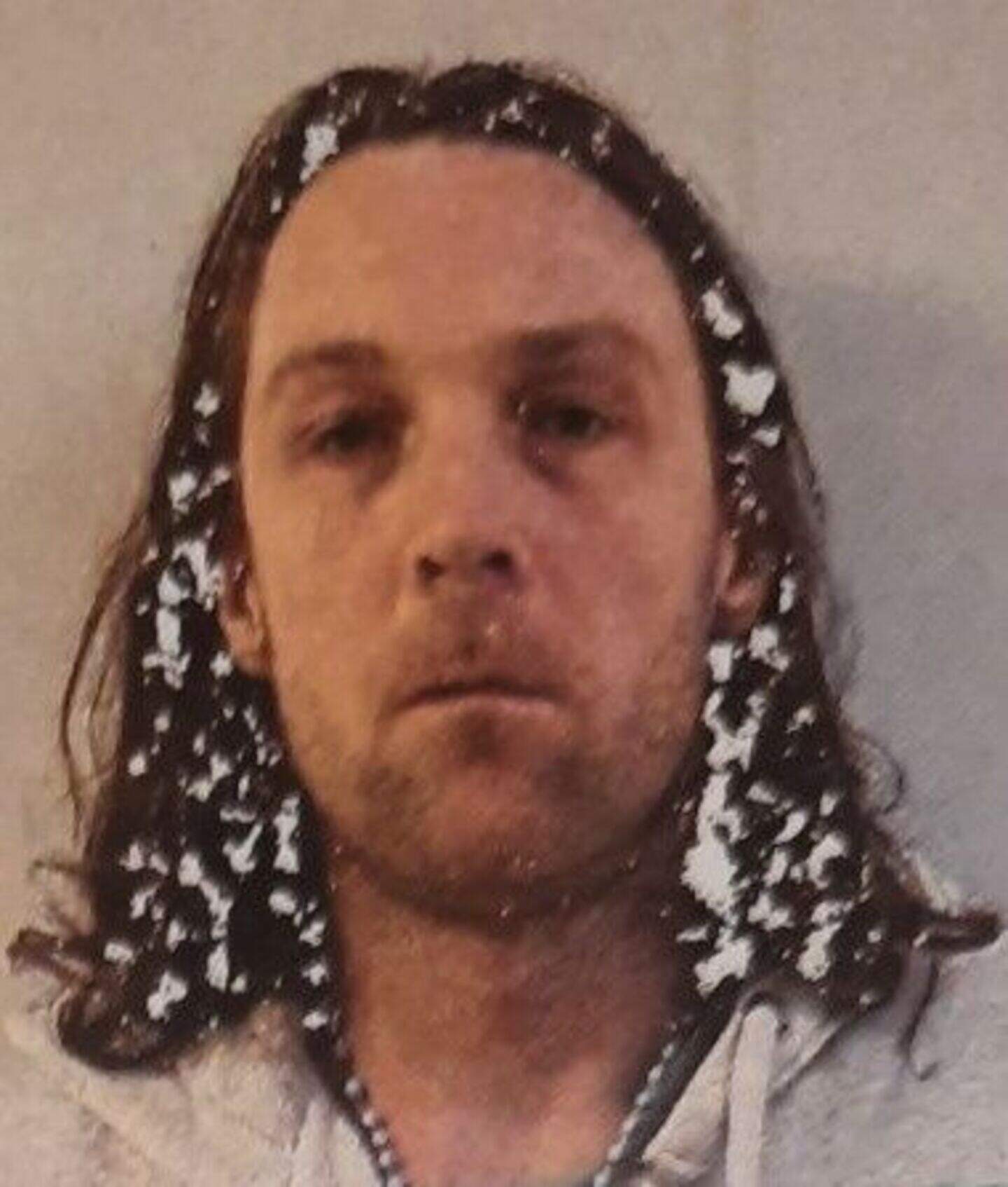 Search for missing woman Mirjana Pap stood down after body discovered ...