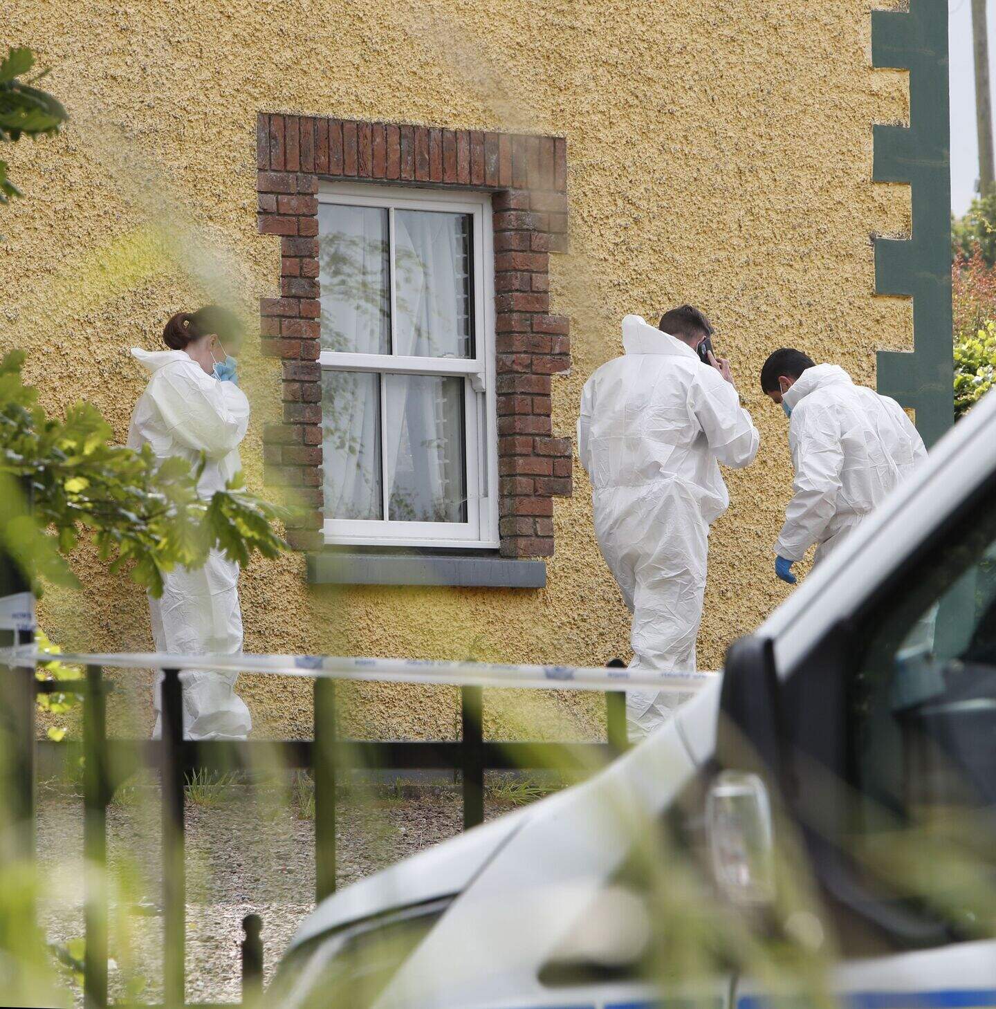 Family ‘shattered’ as they plan balloon tribute for Limerick XL Bully ...