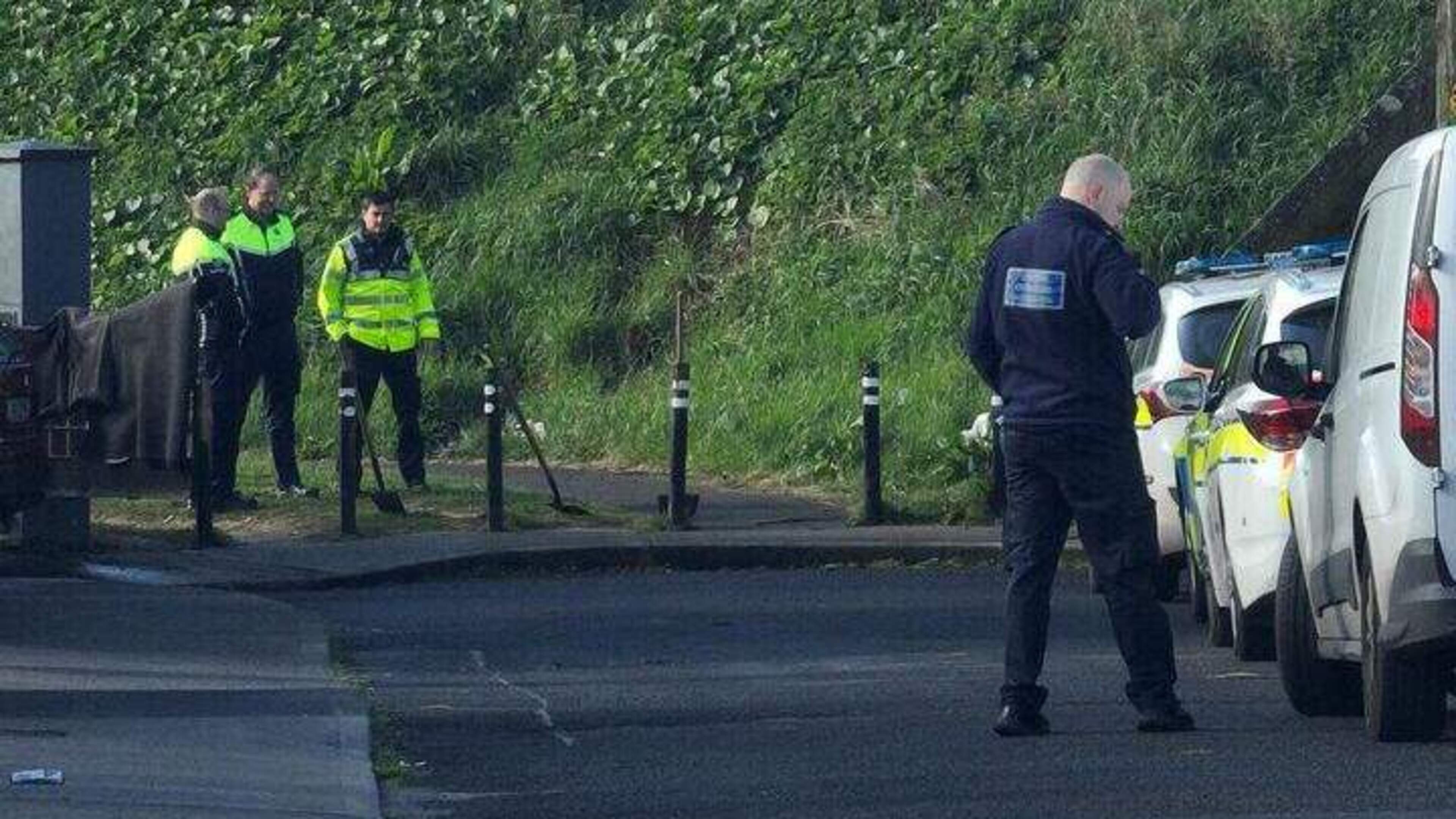 Gardaí probe early-morning arson attack on Limerick city home