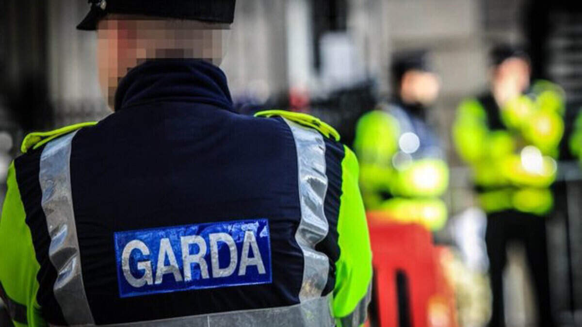 Teenage boy dies after being hit by truck in Cork city | Crime World