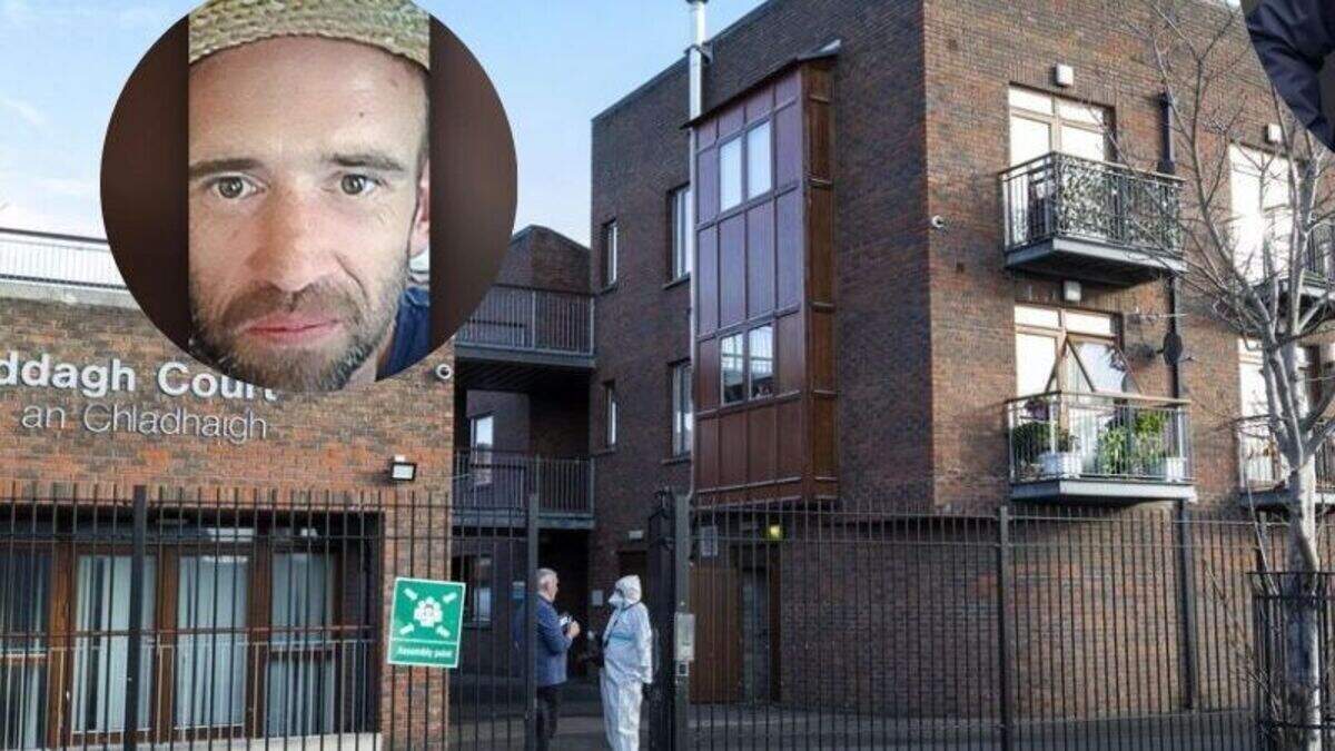 Homeless woman Ann Phelan to face trial accused of stabbing David Ennis ...