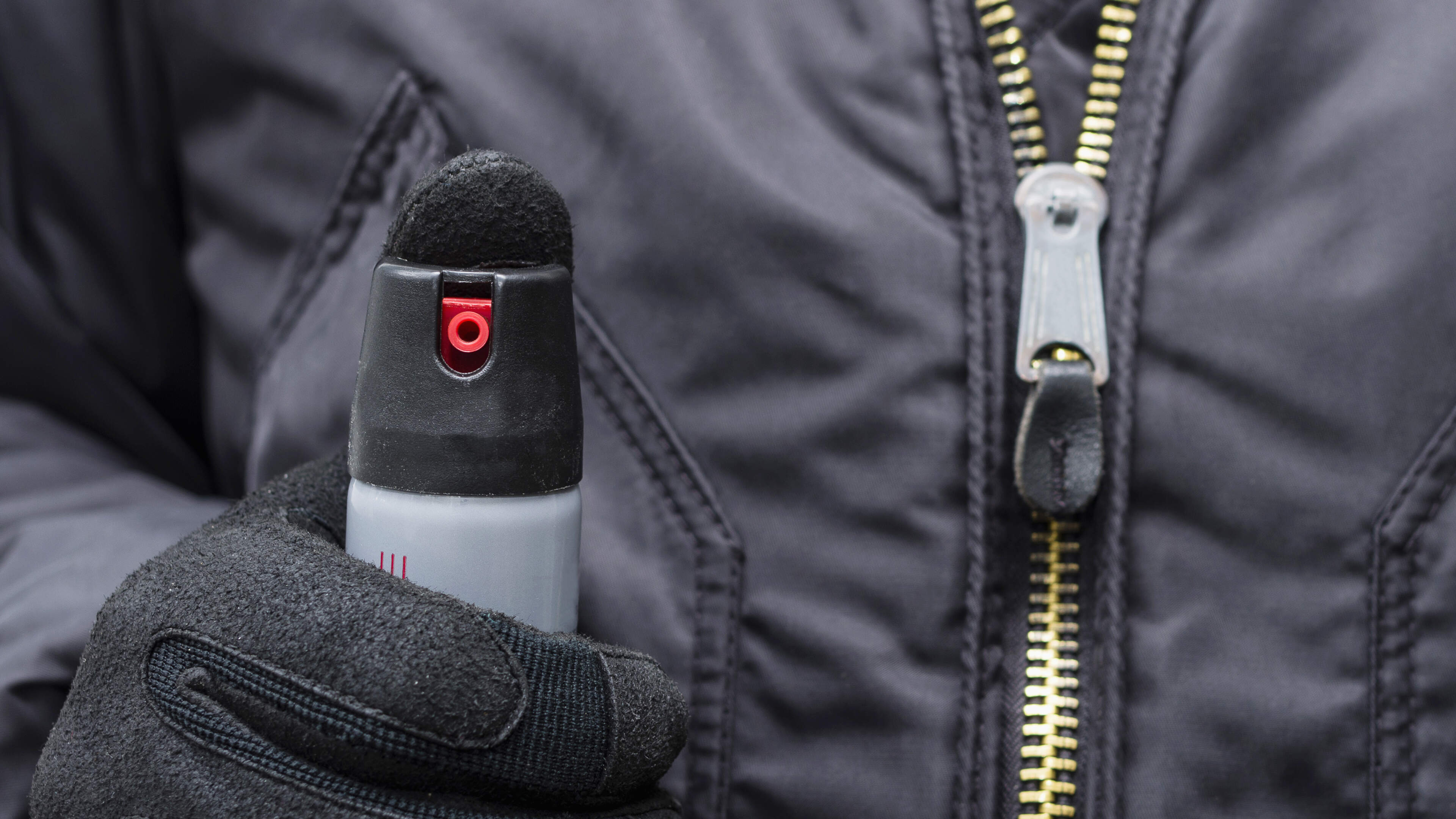 Gardaí had to pepper-spray man (27) with cannabis fleeing through Dublin gardens