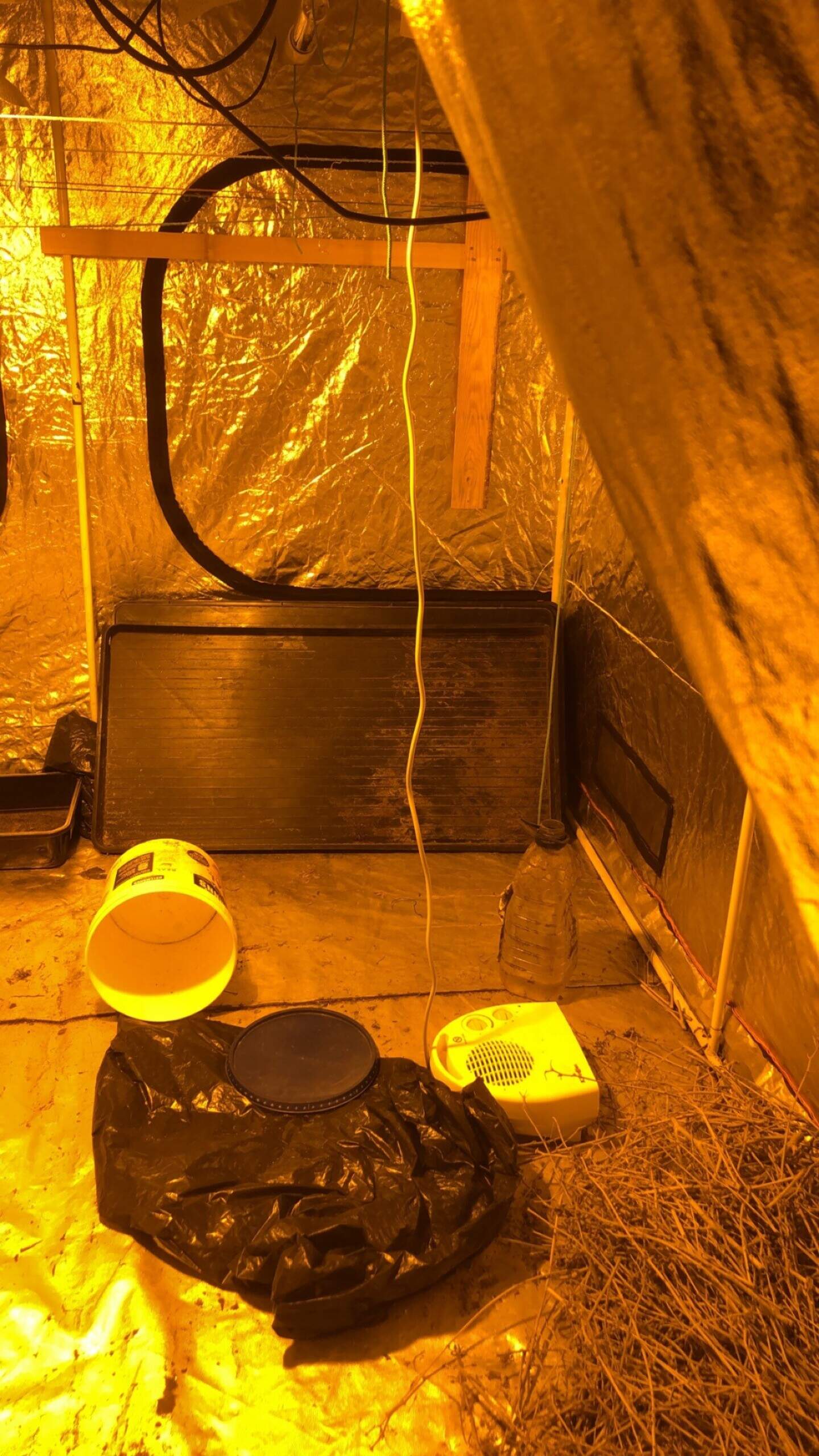 Man (30s) arrested and €56,060 worth of cannabis seized in Roscommon ...