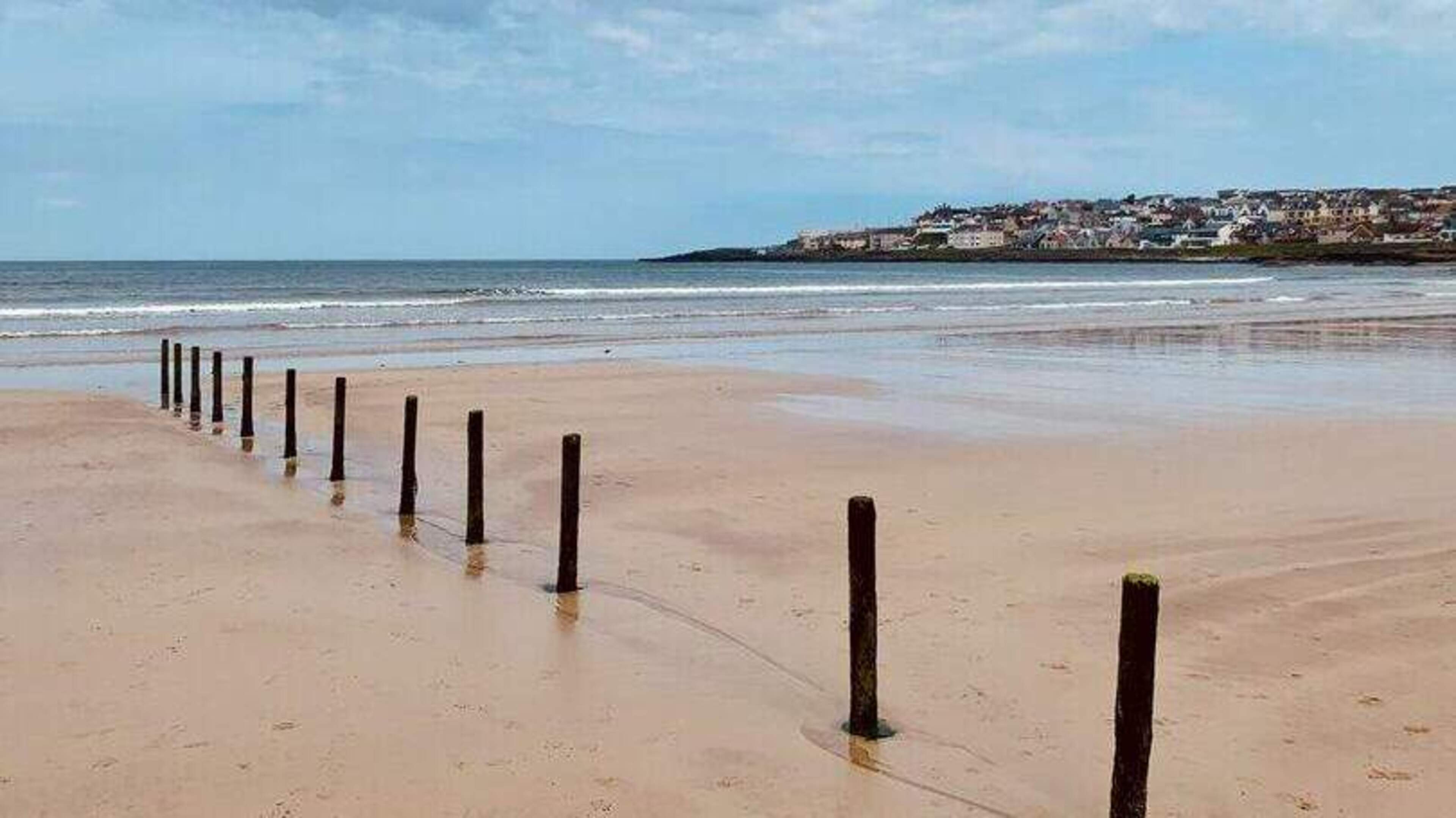 Group of men spotted with knife on beach turns out to be barbecue