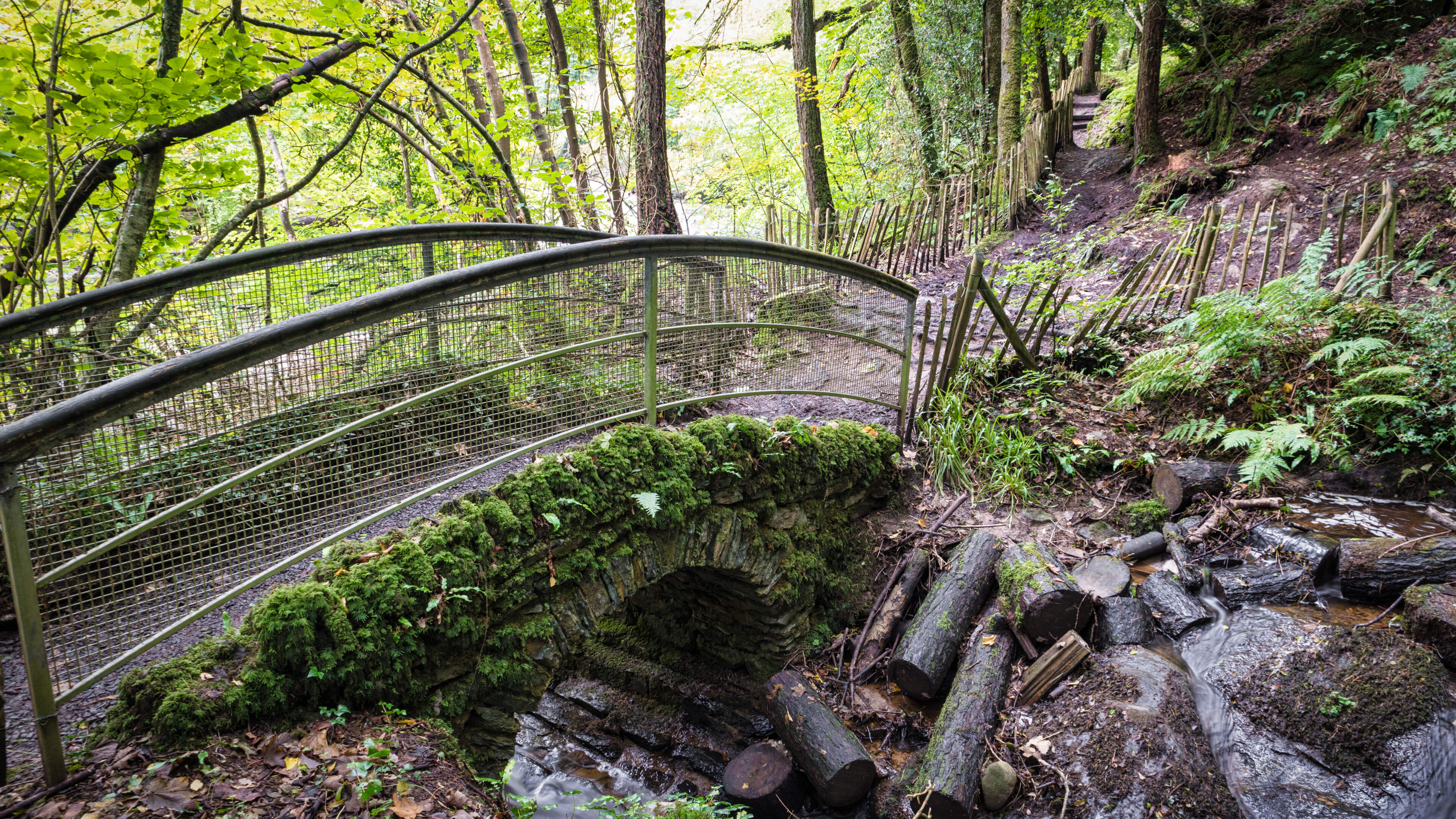 Man armed with knife arrested after jumping out at cyclists in forest park 