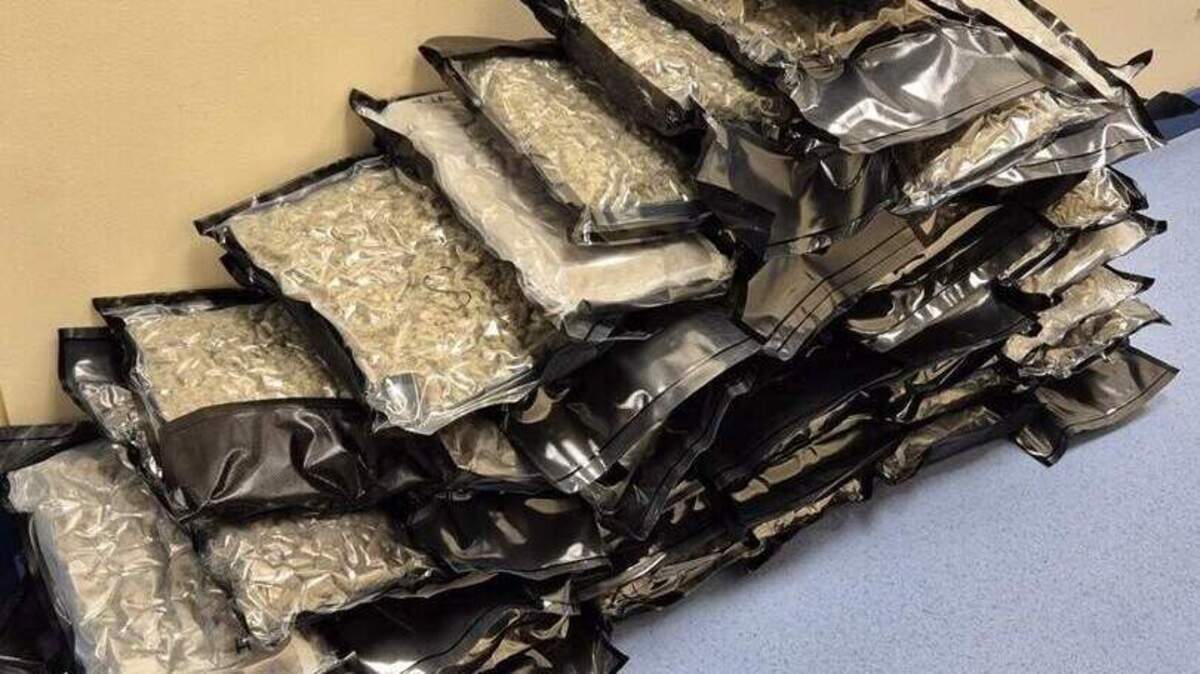 Criminals smuggled drugs ‘hidden as glue on plywood’ into Ireland’s first cocaine lab