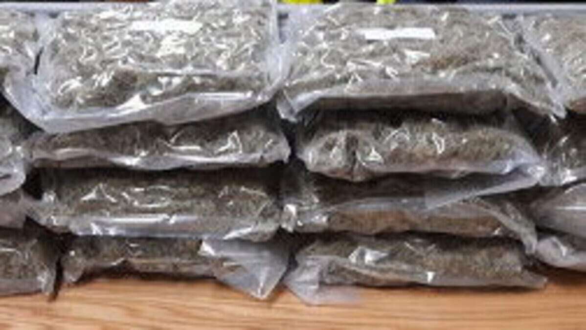 Man arrested after €204,000 of suspected cannabis seized in Trim area ...