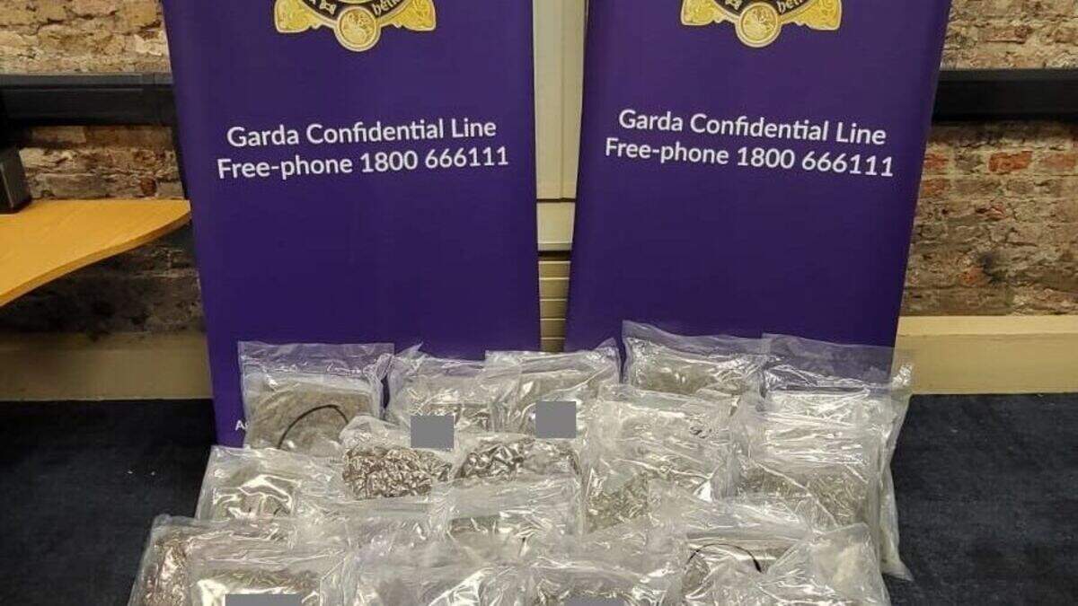 Man (40s) arrested as cannabis worth €420k seized in Dublin raid ...