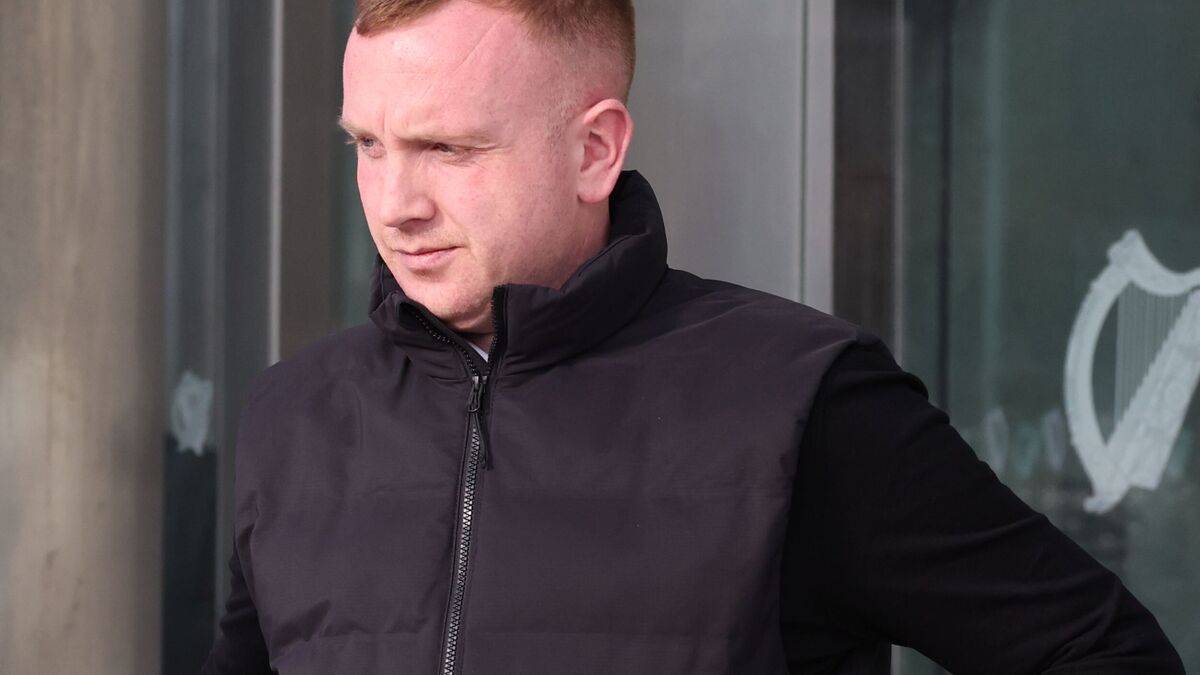 Stuart Kelly: Drunk Dublin man who attacked two female gardai avoids ...