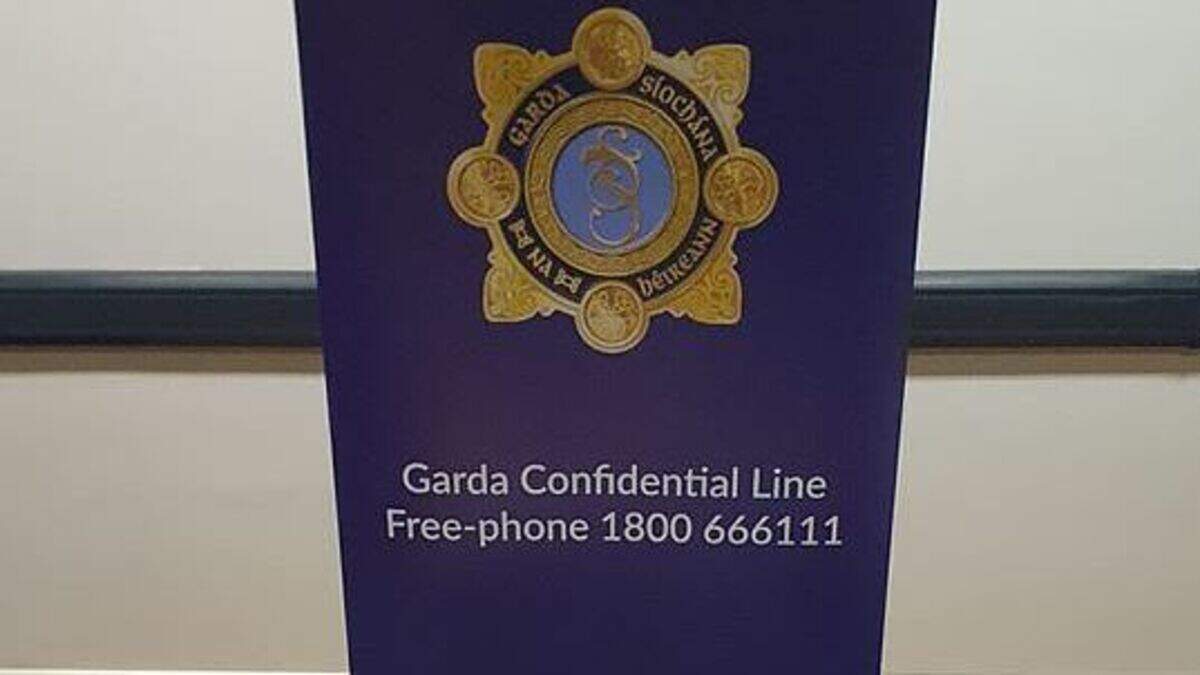Two quizzed as €8,000 cash and €125k worth of drugs seized during raid ...