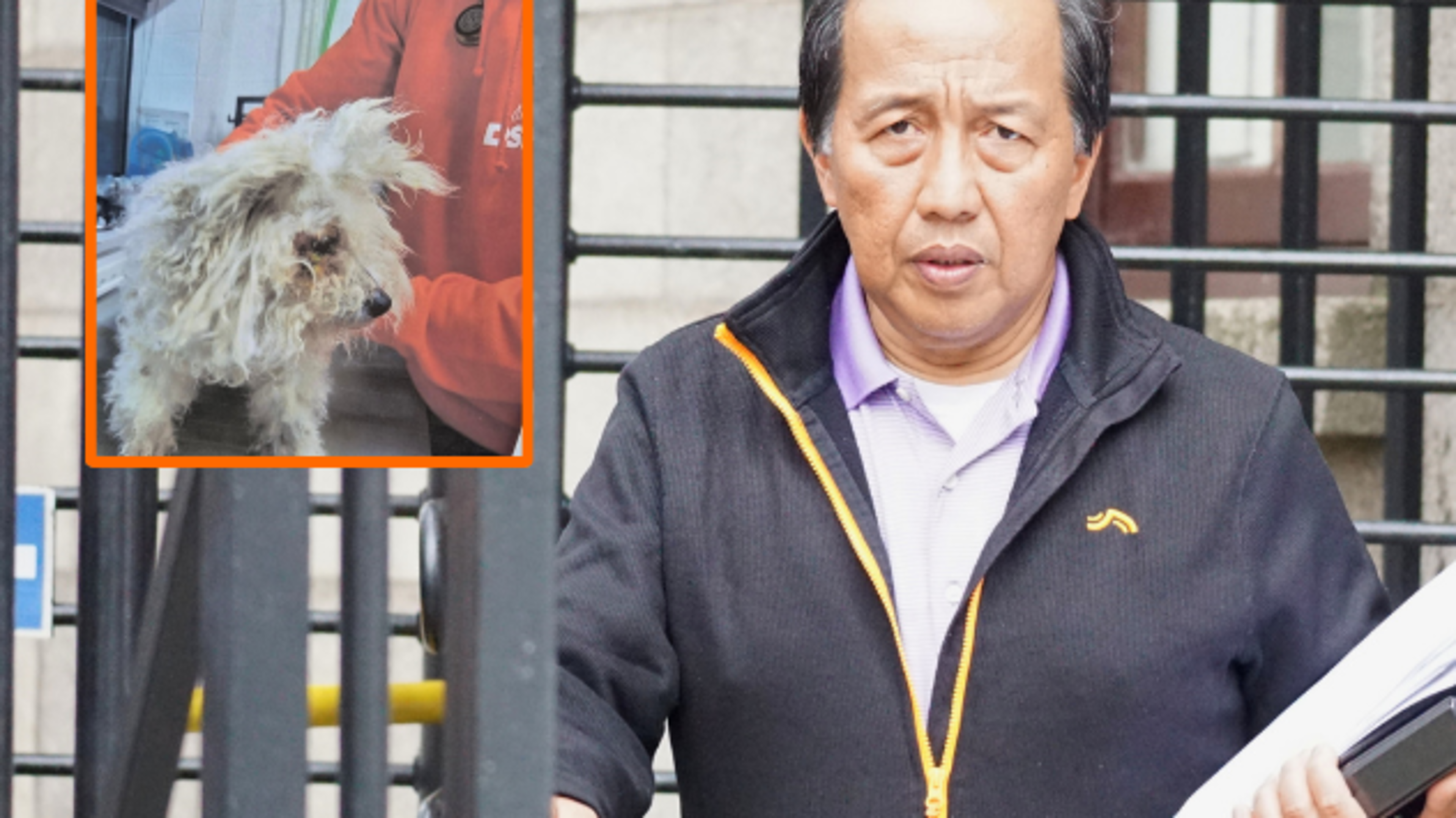 Nurse who left bleeding dog suffering ‘excruciating’ pain hit with lifetime ownership ban