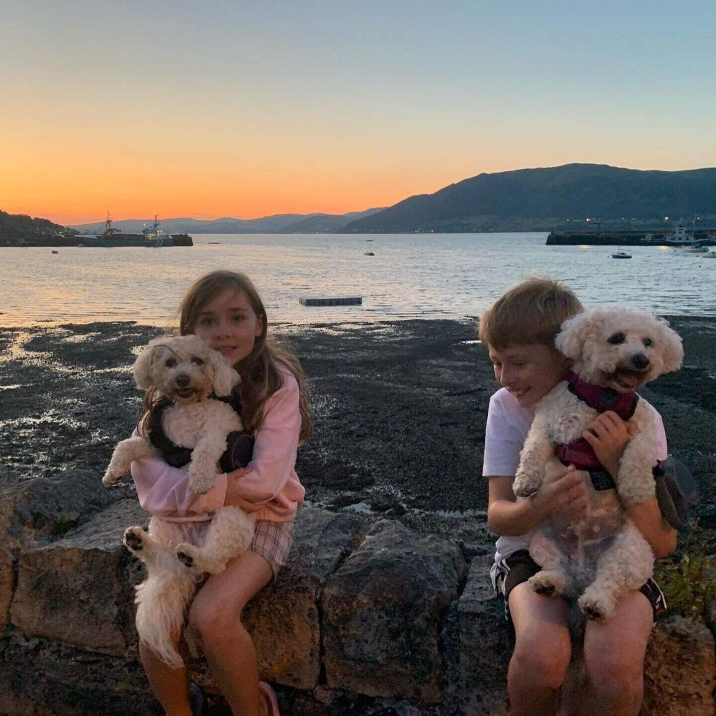 Celeb chef Neven Maguire 'heartbroken' after his beloved dog Benji is ...