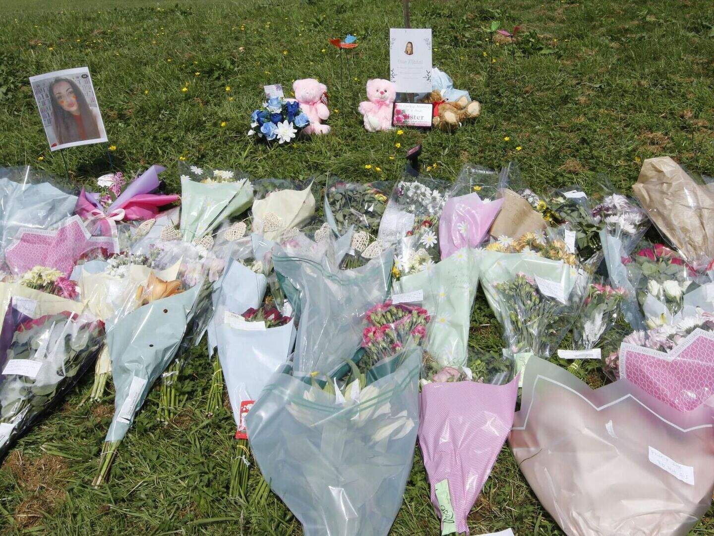 Chloe Mitchell: Brother of Ballymena woman leads tributes ahead of ...