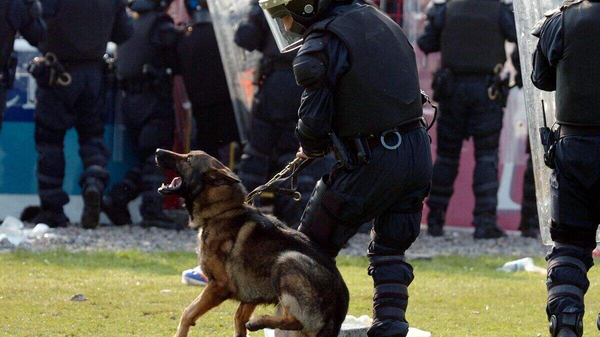 PSNI being sued for £10,000 after alleged bite attack by police dog ...