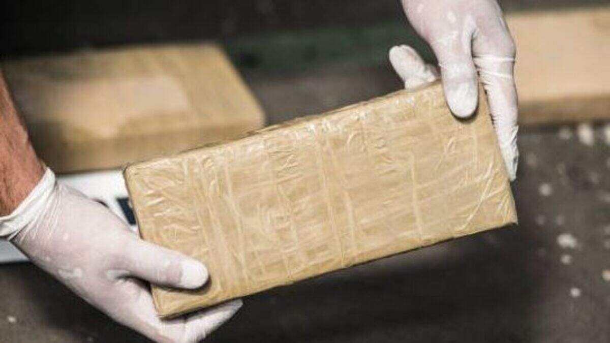 Two men (30s) arrested after €3.1m worth of cocaine and €353k in cash ...