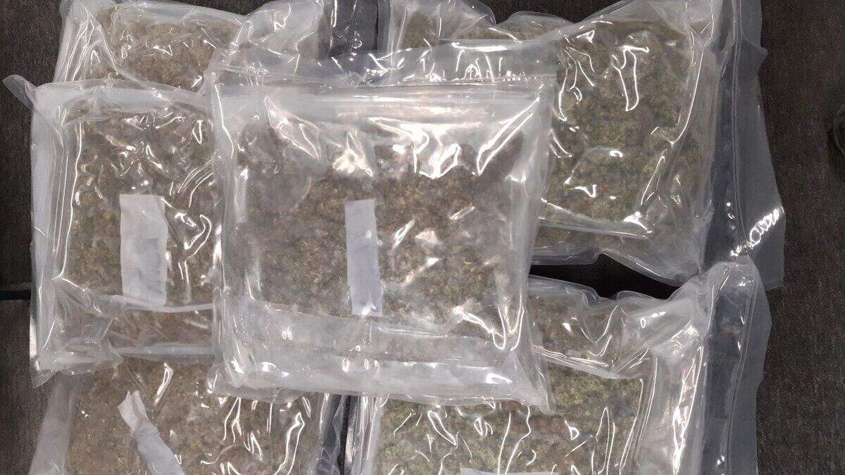 Two men arrested and cannabis worth €160K seized in Skerries, north ...