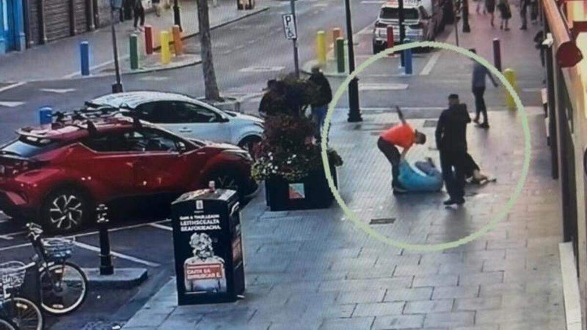 Thug filmed brutally punching woman in the head in shocking Dublin assault