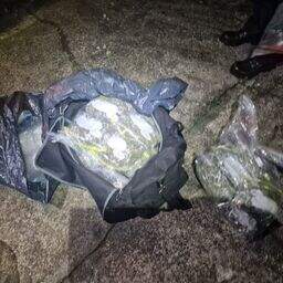 Two arrested after growhouse and cannabis worth €105,000 seized in ...