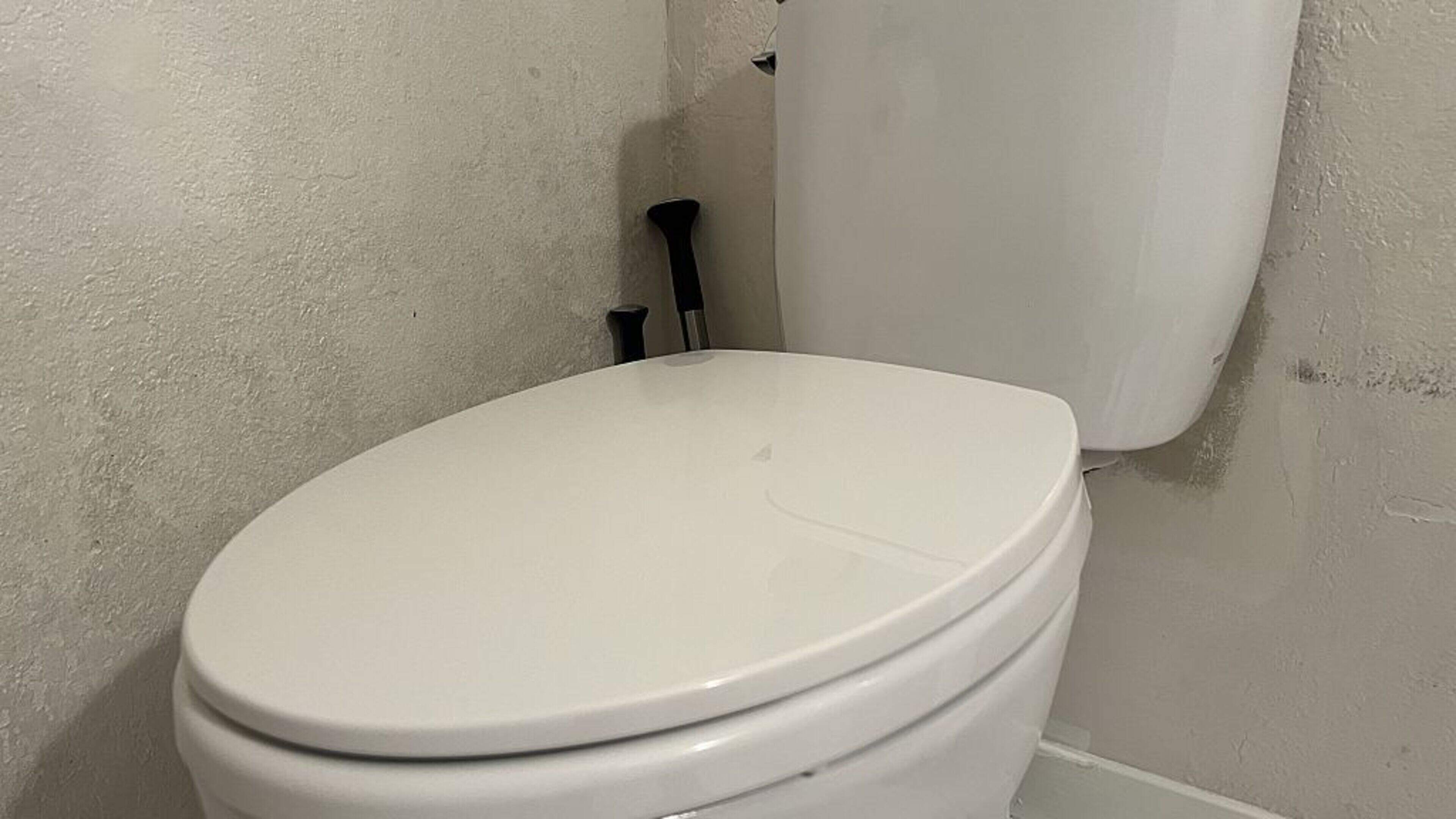 Burglar caught using the toilet while trying to rob Kerry home