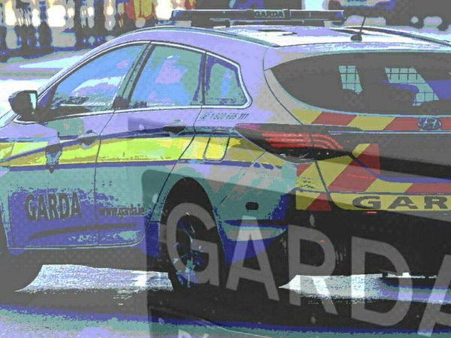 Man jailed after high-speed Garda chase on wrong side of N7 | Crime World