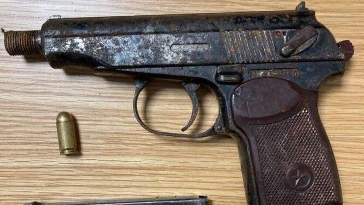 Two arrested after Gardai foil suspected shooting targeting notorious ...