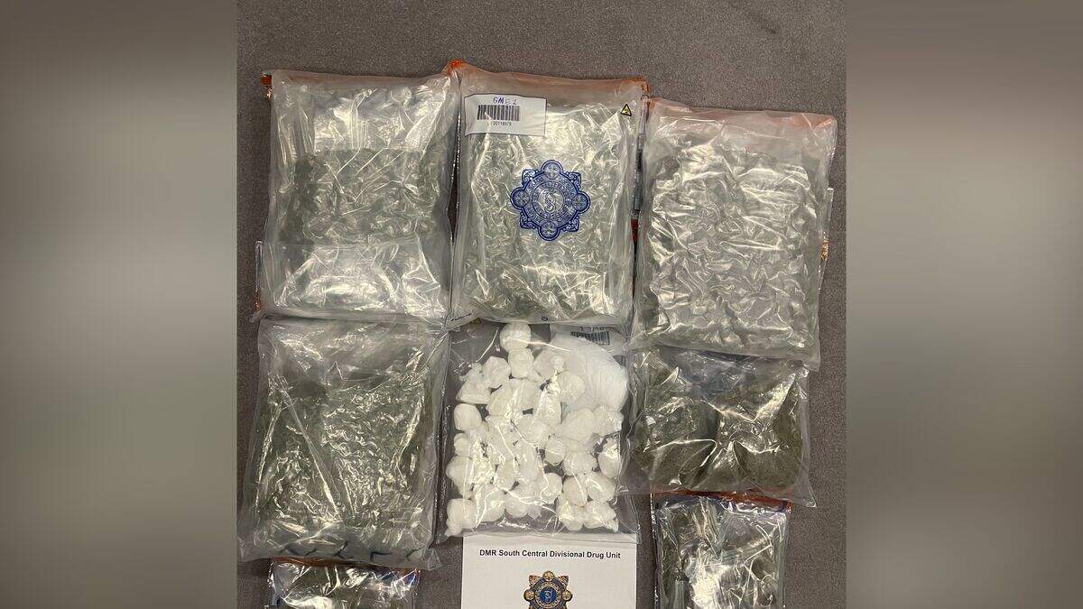 Man arrested after gardai seize cocaine and cannabis herb worth €163k ...