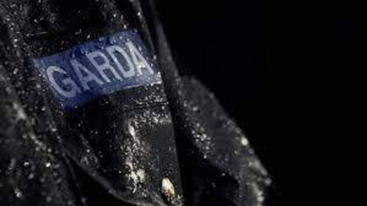 Man arrested in relation to suspicious approach of girl (4) in Offaly ...