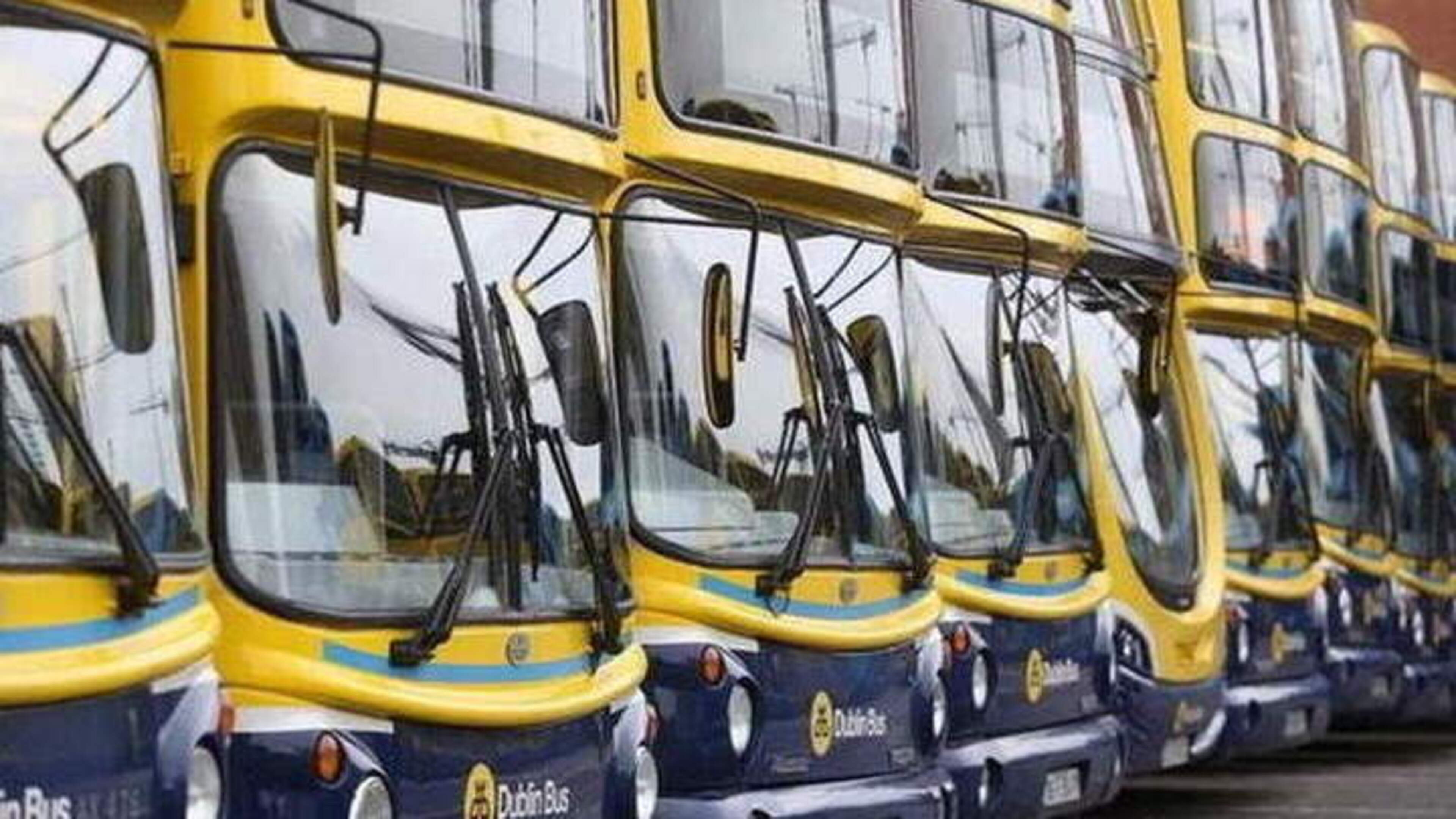 Man (24) who took part in a ‘thuggish’ attack on Dublin Bus passenger jailed