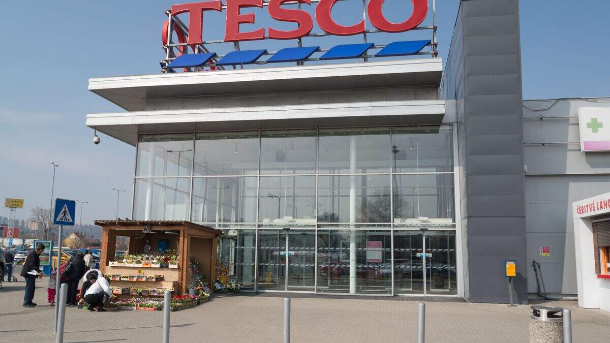 Boxer who punched Tesco security guard in the face gets 'last chance ...