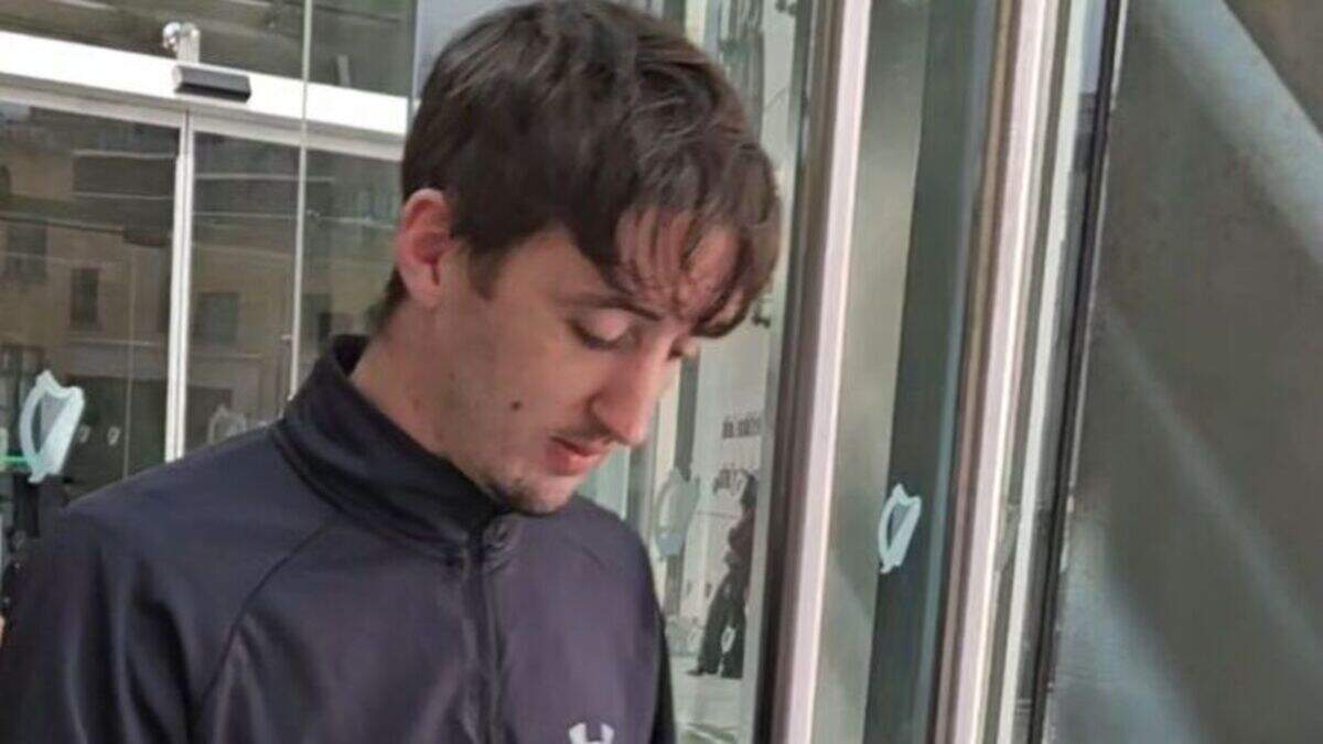 Passenger cleared of causing €3,500 worth of damage to train after he ...