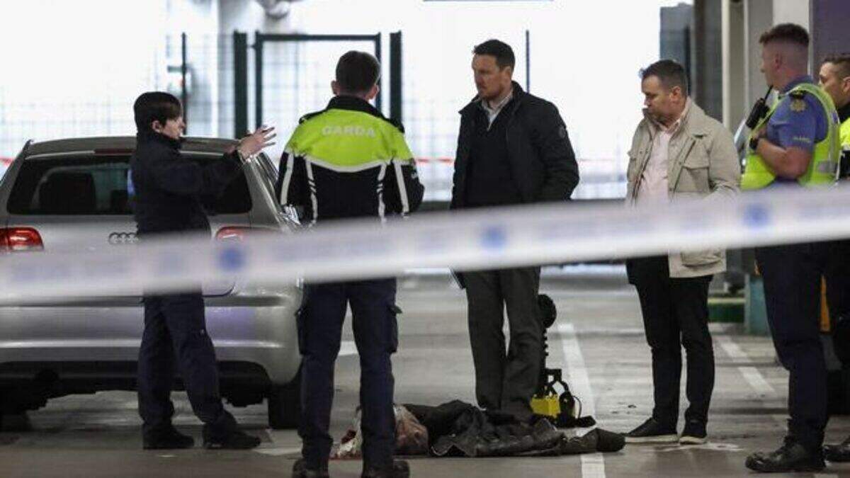 Community in mourning as boy (3) dies after being hit by vehicle in ...