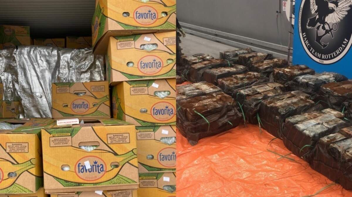 Cocaine worth over €82m hidden in container of bananas seized in ...