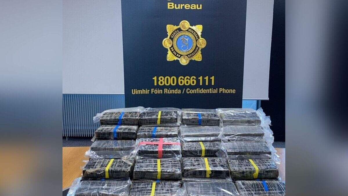 Michael Murphy: 61-year-old Slieverue Co. Kilkenny man appears in court ...