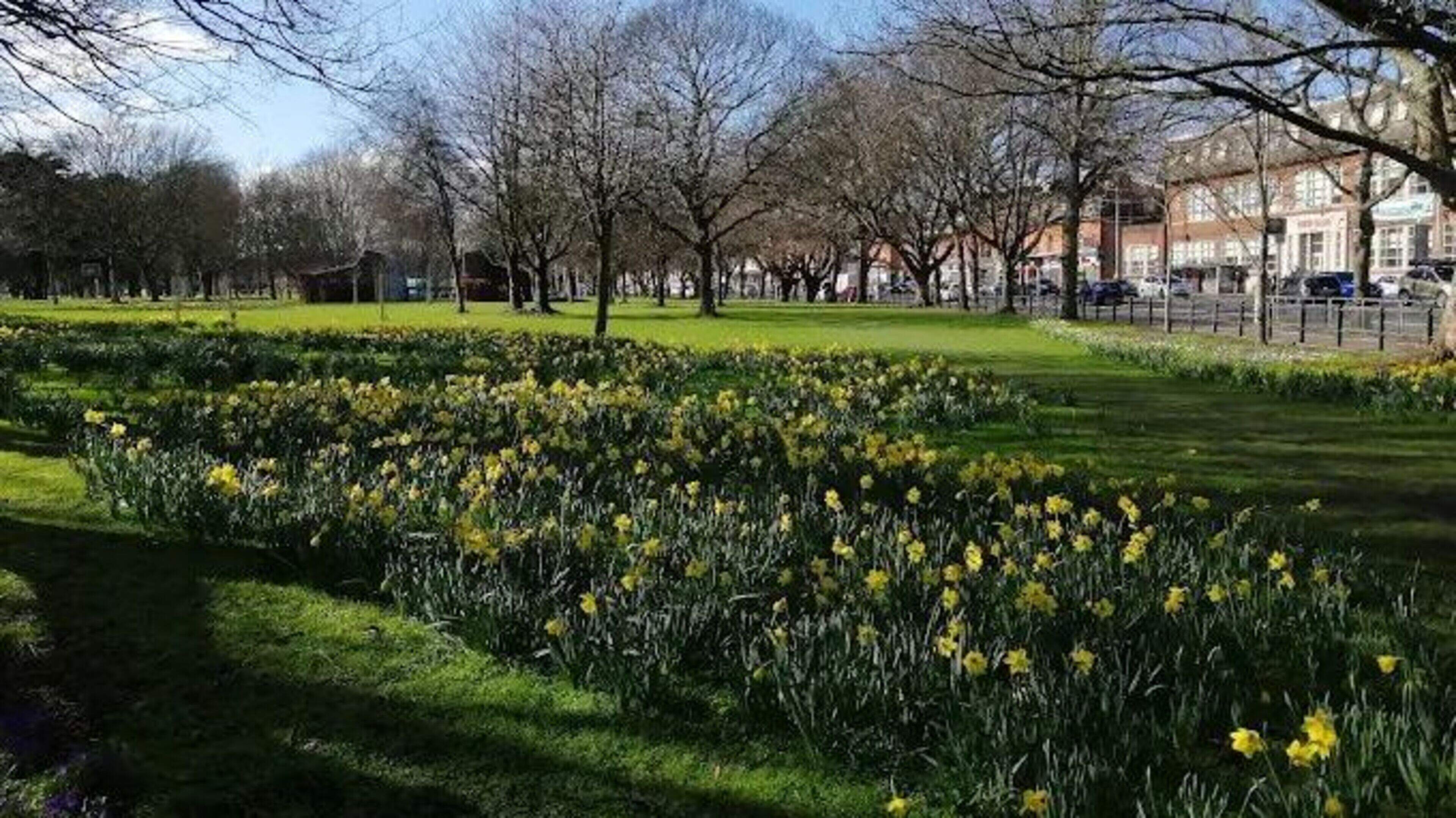 Man abusive to gardaí in Dublin park after drinking on ‘real sunny day’