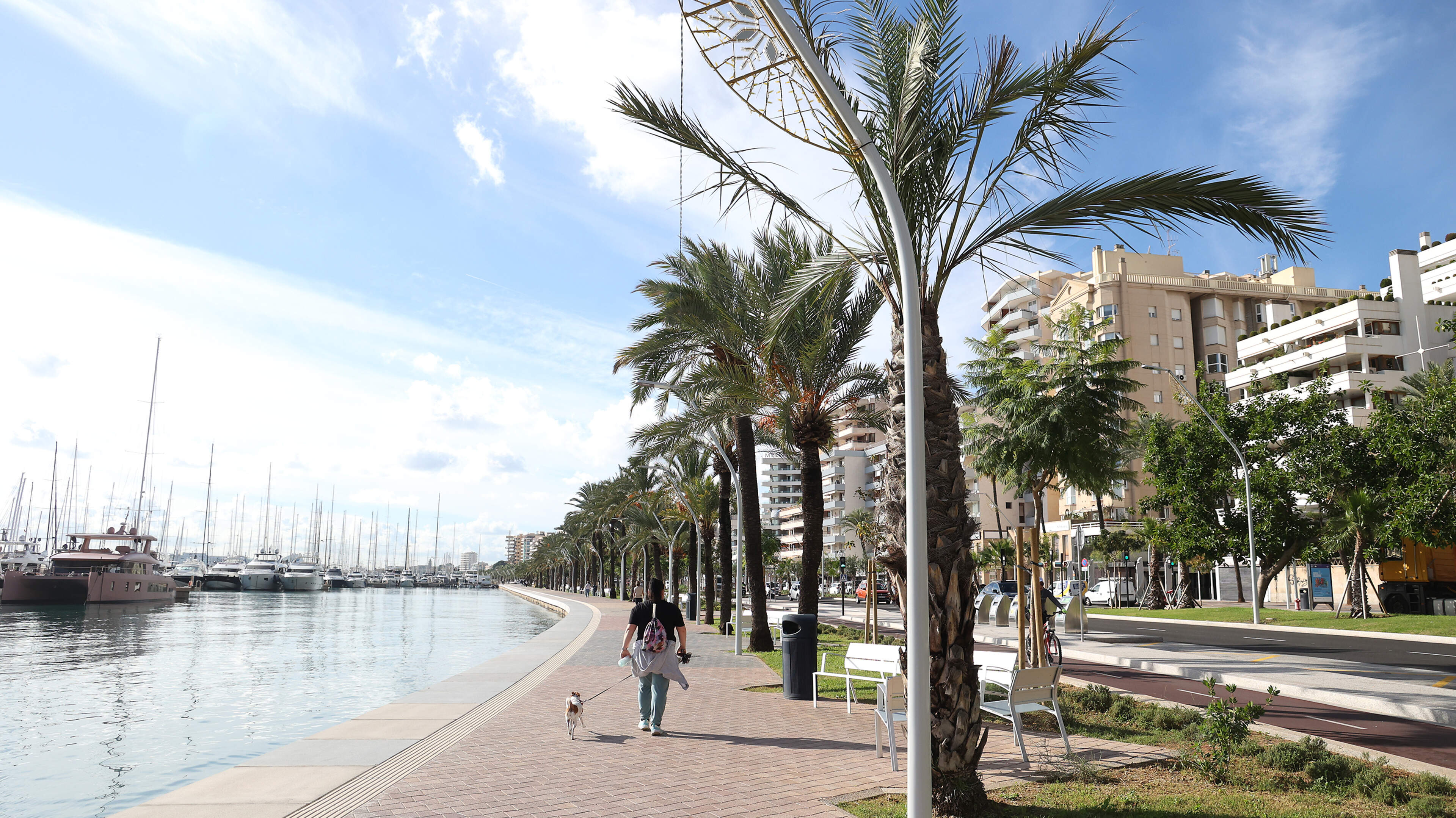 Cops arrest van driver in Majorca after young female tourist abducted and sexually assaulted
