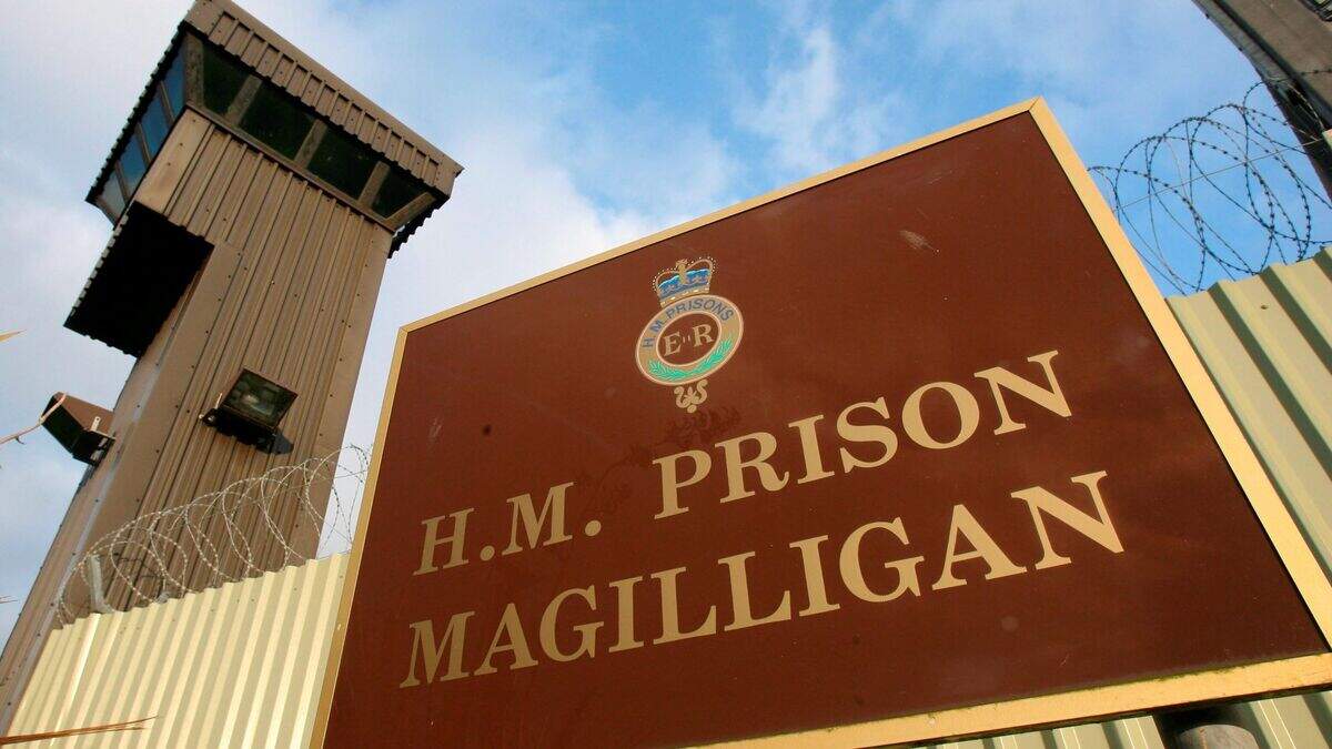 Michael Teelin: Hit-and-run driver who fled Ireland 23 years ago gets ...