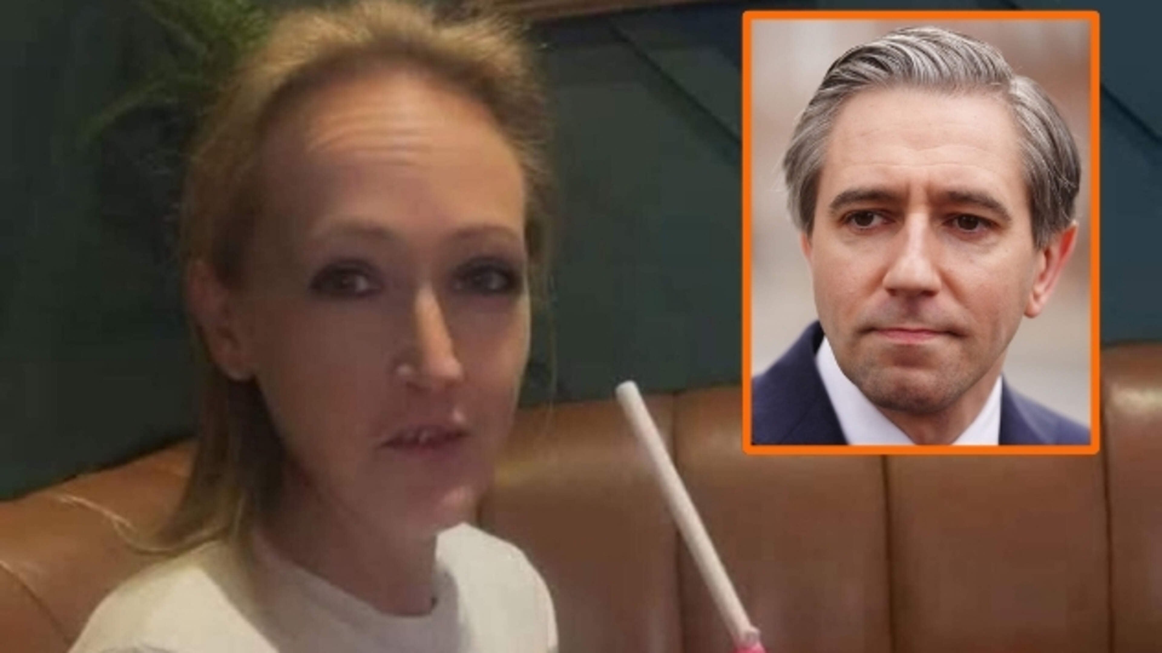 Woman who damaged Simon Harris’s constituency office is granted bail
